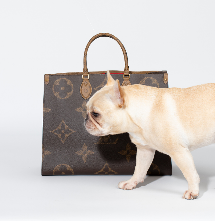 Louis Vuitton bag and puppy