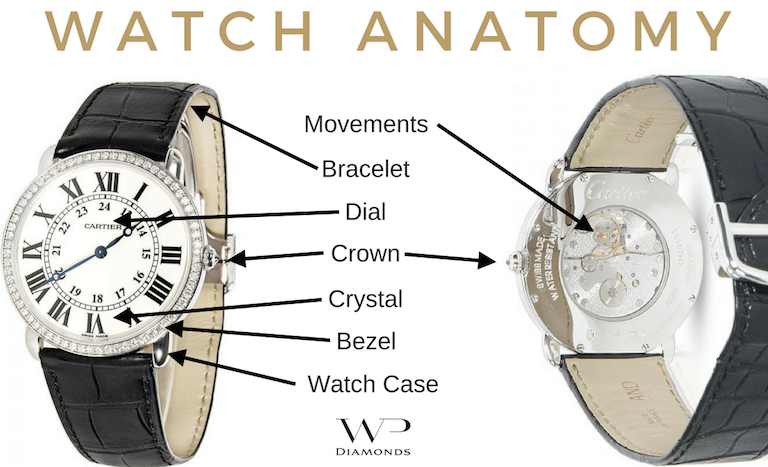 watch anatomy