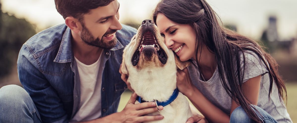 involve your pets in the proposal